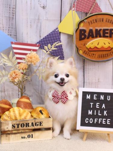 20240908小豆くん